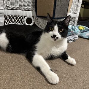 Meet your Posher, Kylee